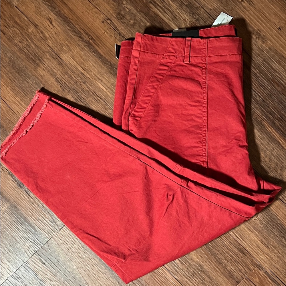 NWT Women’s Petite Banana Republic Ankle Rust Pants